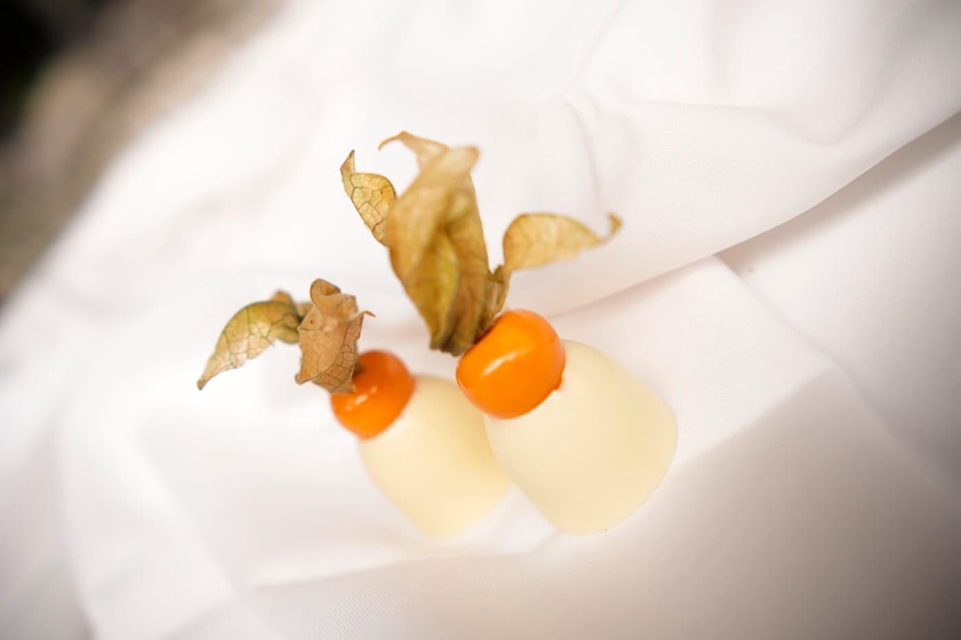 Ninho com physalis